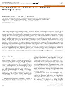 Regulation and Regeneration in the Ctenophore Mnemiopsis Leidyi