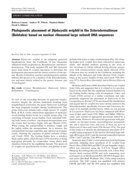 Phylogenetic Placement of Diplocystis Wrightii in the Sclerodermatineae (Boletales) Based on Nuclear Ribosomal Large Subunit DNA Sequences