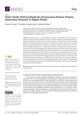 Nitric Oxide (NO) Scaffolds the Peroxisomal Protein–Protein Interaction Network in Higher Plants