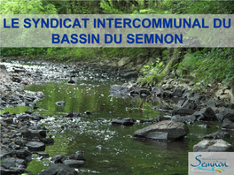Syndicat Intercommunal Du Bassin Versant Du Semnon