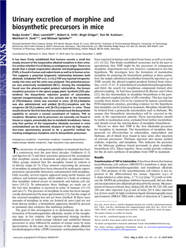 Urinary Excretion of Morphine and Biosynthetic Precursors in Mice