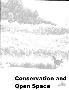 L. Conservation and Open Space Element