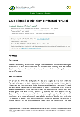 Cave-Adapted Beetles from Continental Portugal