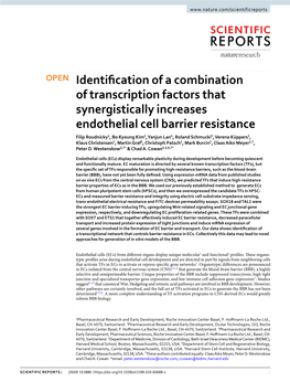 Identification of a Combination of Transcription Factors That