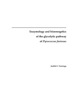 Enzymology and Bioenergetics of the Glycolytic Pathway of Pyrococcus Furiosus