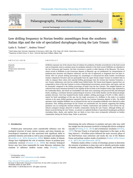 Low Drilling Frequency in Norian Benthic Assemblages from the Southern Italian Alps and the Role of Specialized Durophages During the Late Triassic T ⁎ Lydia S