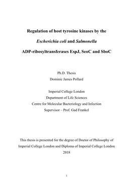 Regulation of Host Tyrosine Kinases by the Escherichia Coli and Salmonella