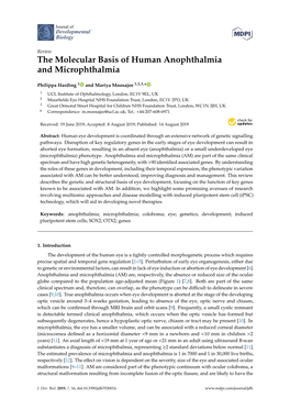 The Molecular Basis of Human Anophthalmia and Microphthalmia