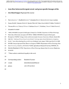 Gene Flow Between Divergent Cereal- and Grass-Specific Lineages of the Rice Blast Fungus Magnaporthe Oryzae