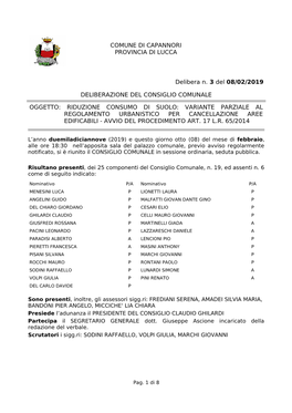 COMUNE DI CAPANNORI PROVINCIA DI LUCCA Delibera N