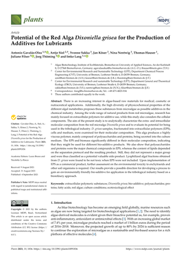 Potential of the Red Alga Dixoniella Grisea for the Production of Additives for Lubricants