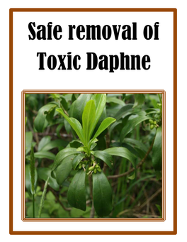 Safe Removal of Toxic Daphne