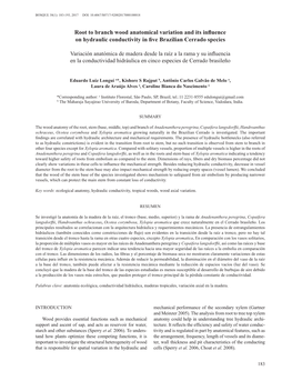 Root to Branch Wood Anatomical Variation and Its Influence on Hydraulic Conductivity in Five Brazilian Cerrado Species