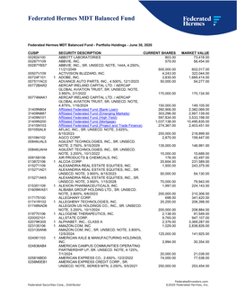 Federated Hermes MDT Balanced Fund