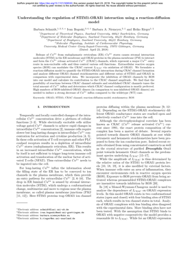 Understanding the Regulation of STIM1-ORAI1 Interaction Using a Reaction-Diﬀusion Model