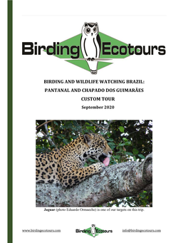 BIRDING and WILDLIFE WATCHING BRAZIL: PANTANAL and CHAPADO DOS GUIMARÃES CUSTOM TOUR September 2020