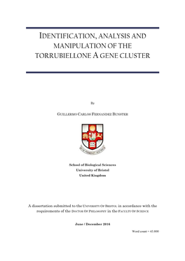 Identification, Analysis and Manipulation of the Torrubiellone a Gene Cluster