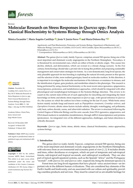 Molecular Research on Stress Responses in Quercus Spp.: from Classical Biochemistry to Systems Biology Through Omics Analysis