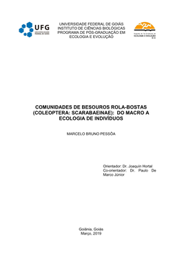 Comunidades De Besouros Rola-Bostas (Coleoptera: Scarabaeinae): Do Macro a Ecologia De Indivíduos