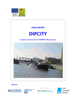 DIPCITY Final Report