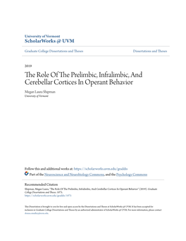 The Role of the Prelimbic, Infralimbic, and Cerebellar Cortices in Operant Behavior