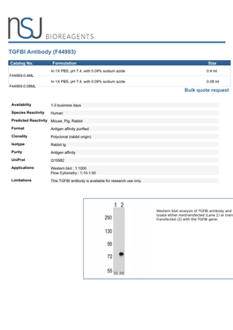 TGFBI Antibody (F44993)