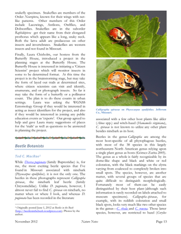 Beetle Botanists with Most of the 38 Species in This Largely Northeastern North American Genus Relying Upon a Single Plant Genus As Hosts (Gómez-Zurita 2005)