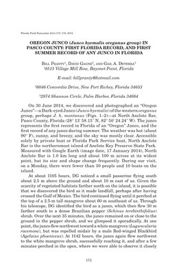 OREGON JUNCO (Junco Hyemalis Oreganus Group) in PASCO COUNTY: FIRST FLORIDA RECORD, and FIRST SUMMER RECORD of ANY JUNCO in FLORIDA