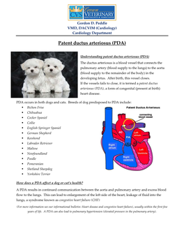 Patent Ductus Arteriosus (PDA)