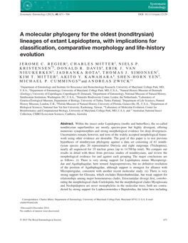 A Molecular Phylogeny for the Oldest (Nonditrysian)