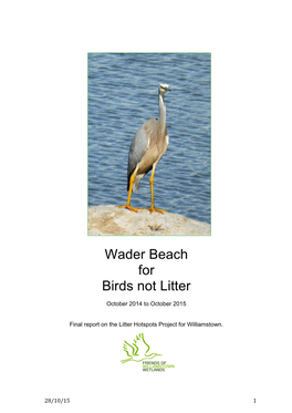 Wader Beach for Birds Not Litter