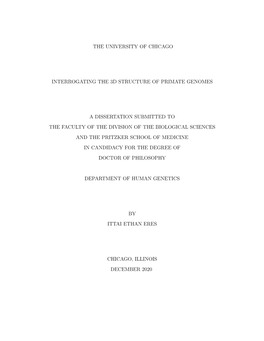 The University of Chicago Interrogating the 3D Structure of Primate Genomes a Dissertation Submitted to the Faculty of the Divis