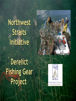 Derelict Fishing Gear Removal Project