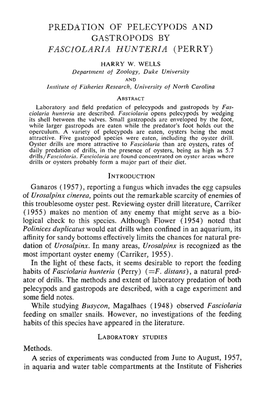 Predation of Pelecypods and Gastropods by <I>Fasciolaria