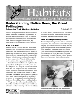 Understanding Native Bees, the Great Pollinators Enhancing Their Habitats in Maine Bulletin #7153