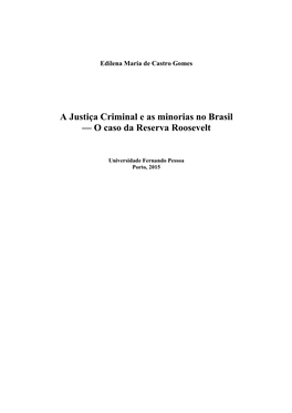 A Justiça Criminal E As Minorias No Brasil — O Caso Da Reserva Roosevelt