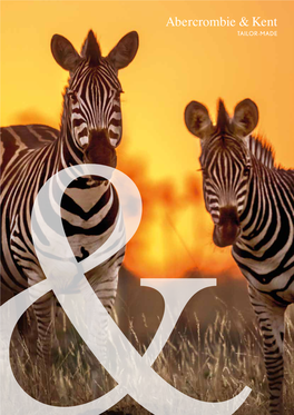 TAILOR-MADE INCA RUINS in PERU COVER IMAGE: BURCHELL’S ZEBRA at DUSK, KRUGER NATIONAL PARK, SOUTH AFRICA Dear Traveller