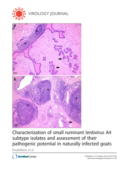 View of the Importance of Colostrum and Milk for Tial Trigger for the Increasing Viral Load