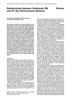 Review Relationships Between Vertebrate ZW and XY Sex