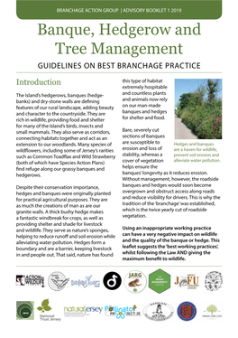 Banque, Hedgerow and Tree Management GUIDELINES on BEST BRANCHAGE PRACTICE