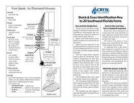 Quick Fern Guide