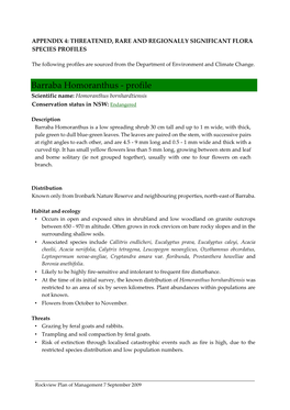 Barraba Homoranthus - Profile Scientific Name: Homoranthus Bornhardtiensis Conservation Status in NSW: Endangered