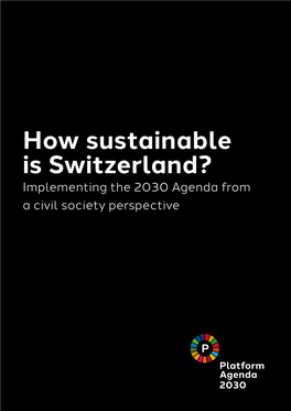 How Sustainable Is Switzerland? Implementing the 2030 Agenda from a Civil Society Perspective