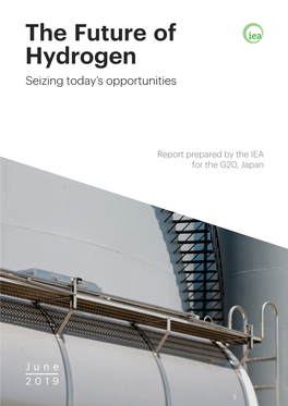 The Future of Hydrogen Seizing Today’S Opportunities