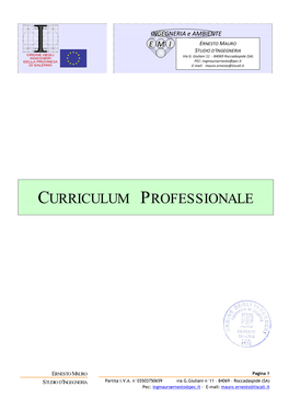 Curriculum Professionale