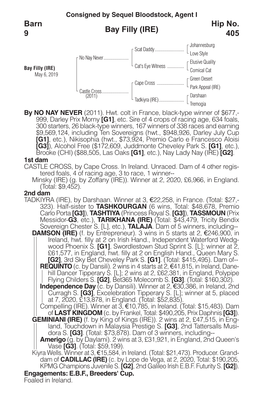 Bay Filly (IRE) Barn 9 Hip No