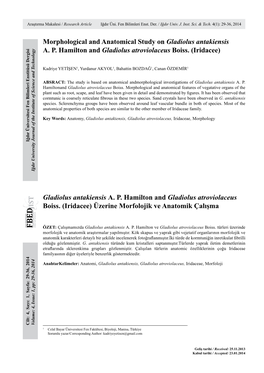 Morphological and Anatomical Study on Gladiolus Antakiensis A. P. Hamilton and Gladiolus Atroviolaceus Boiss. (Iridacee) Gladio