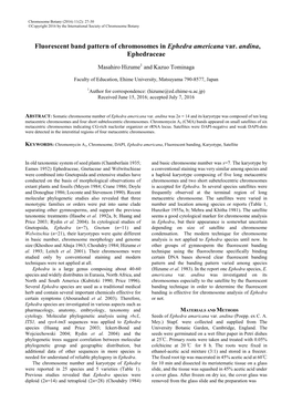 Fluorescent Band Pattern of Chromosomes in Ephedra Americana Var