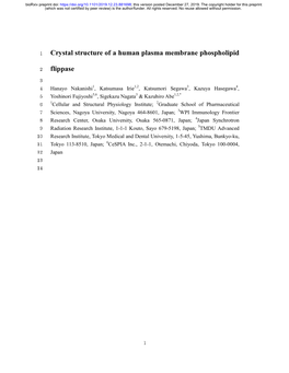 Crystal Structure of a Human Plasma Membrane Phospholipid Flippase