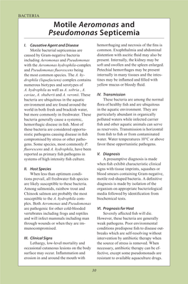 Motile Aeromonas and Pseudomonas Septicemia